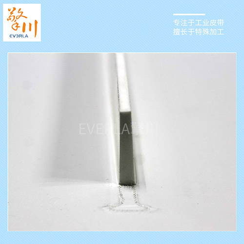 pu食品輸送帶 加無(wú)底座擋塊傳送帶